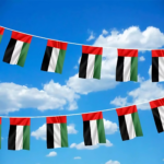 UAE String Flags and Flag Bunting 32Pcs